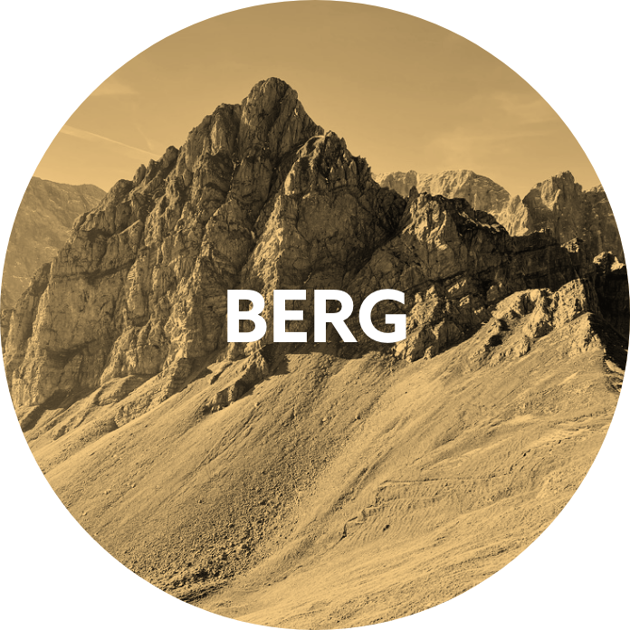 Berg Visual